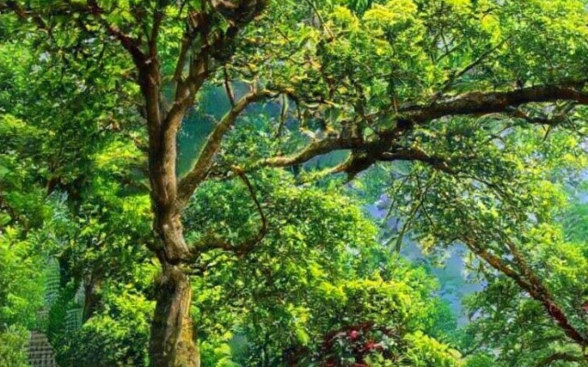 Intelligences artificielles