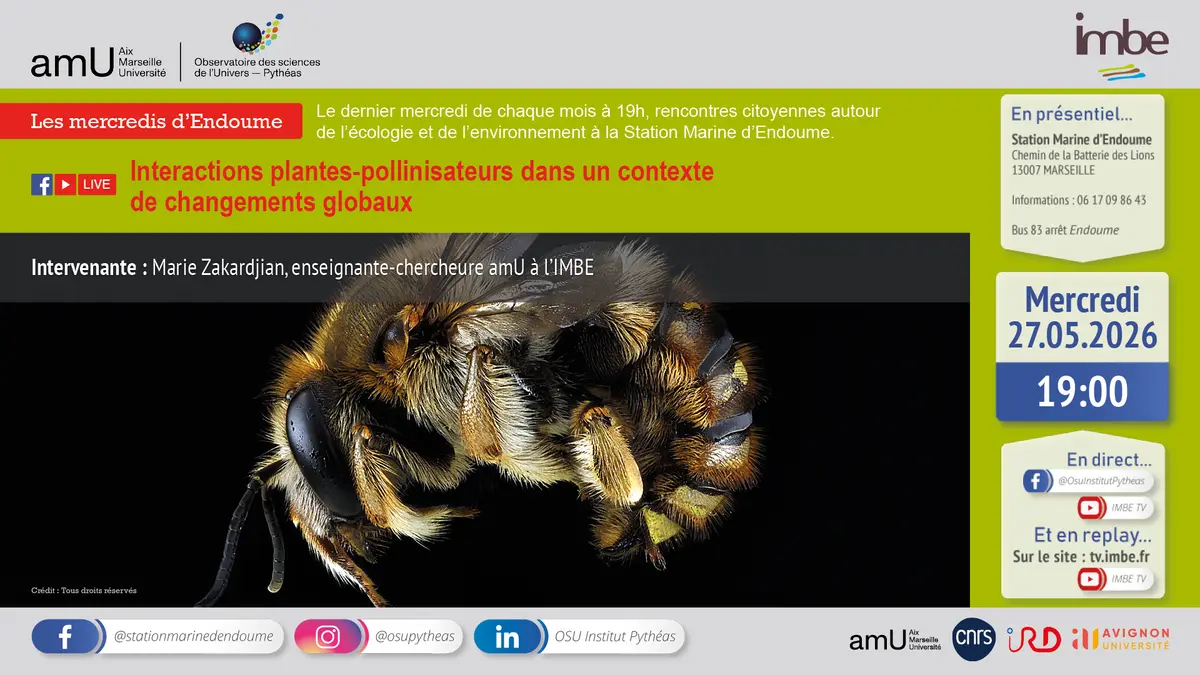 Interactions plantes-pollinisateurs dans un contexte de changements globaux