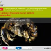 Interactions plantes-pollinisateurs dans un contexte de changements globaux