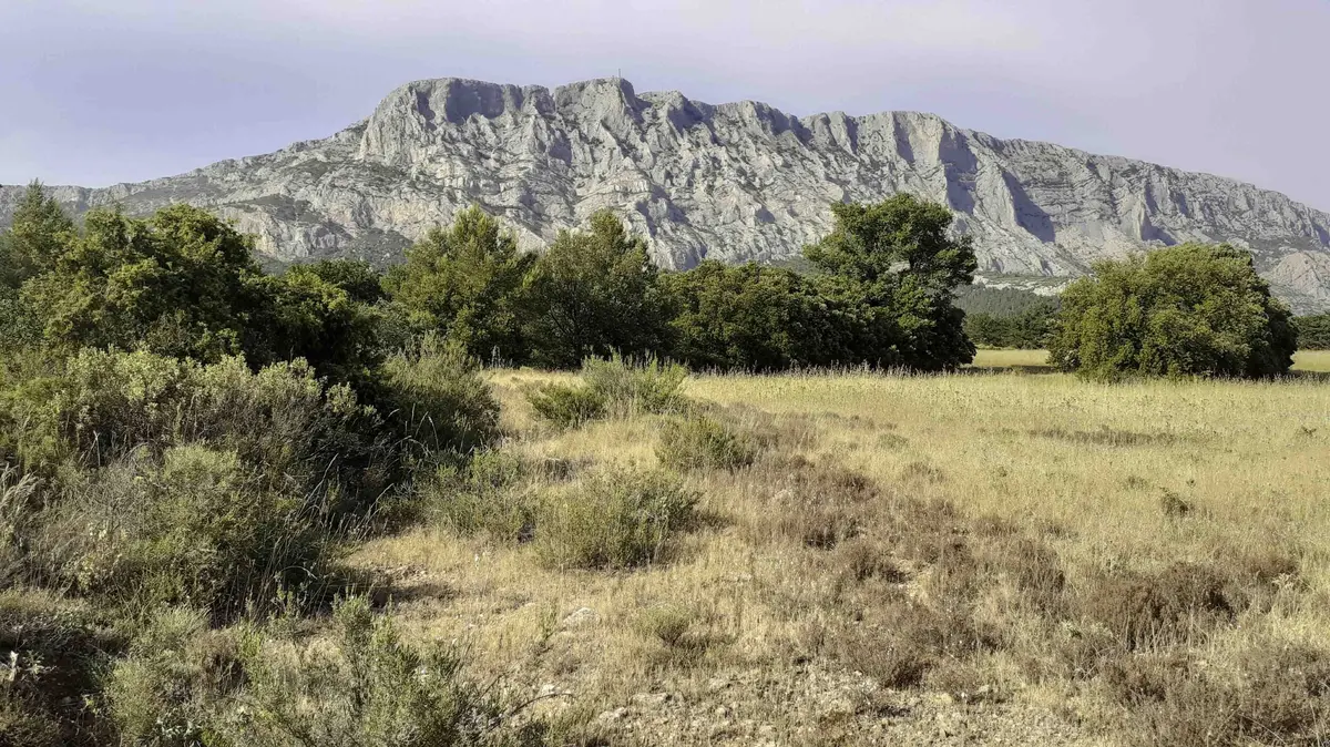 Inventaire photographique des papillons de nuit à Maurély