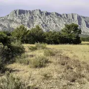 Inventaire photographique des papillons de nuit à Maurély