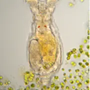 Invisible Biodiversité