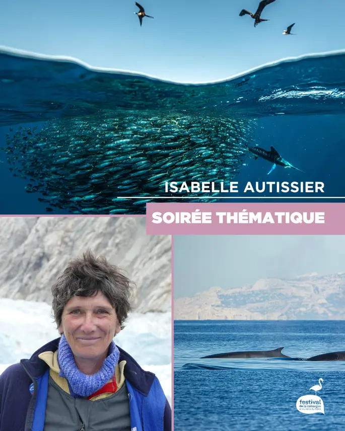 Isabelle Autissier : de la passion des océans à l'engagement pour la planète