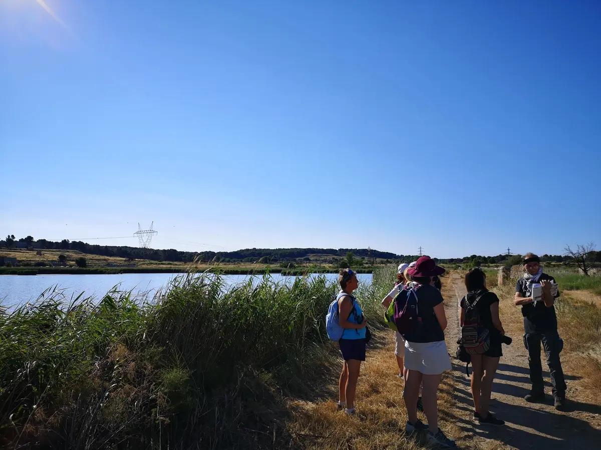 Istres Tourisme, Le CLUB