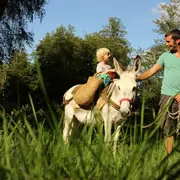 J'apprends à m'occuper de mon âne