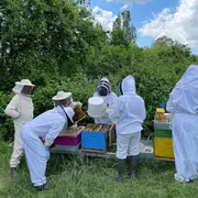 J'apprends l'apiculture avec l'Abeille Cubzaguaise