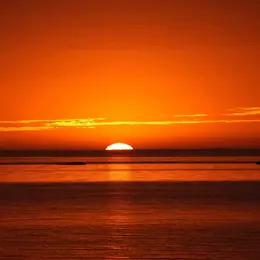 J'Veux Du Soleil