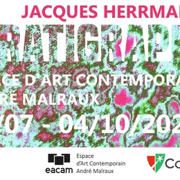 Jacques Herrmann - Stratigraphie
