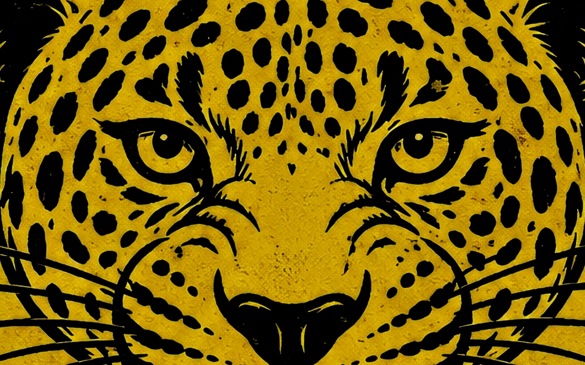 DJ_ZAM
