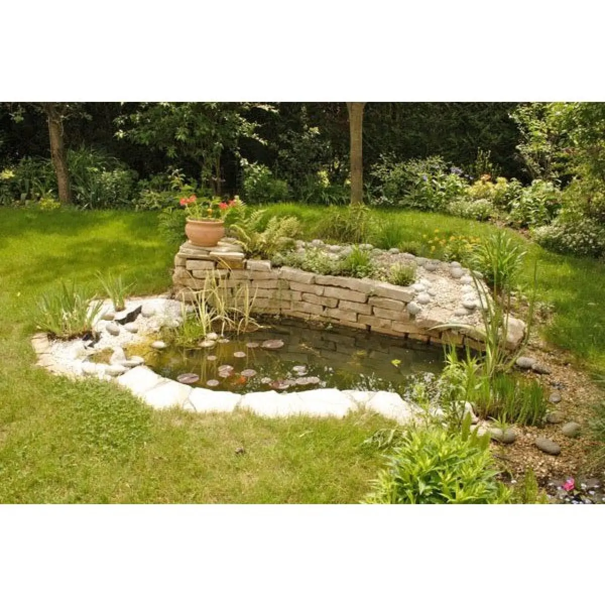 Jardin : à la Sainte-Catherine, tout prend racine