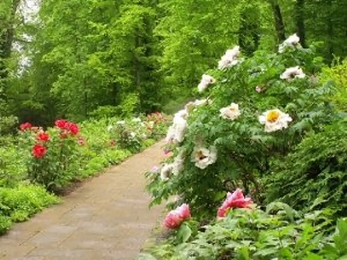 Jardin : Ayez les bons réflexes écologiques ! 