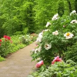Jardin : Ayez les bons réflexes écologiques !