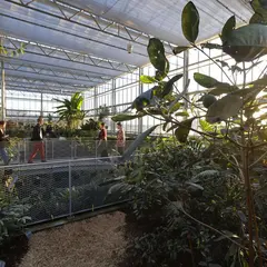 Jardin botanique de Besançon