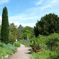 Jardin botanique de Saverne