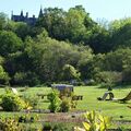 F&ecirc;te de la Science au Jardin Botanique Jean-Marie Pelt de Nancy : l'infiniment petit des plantes &agrave; la loupe