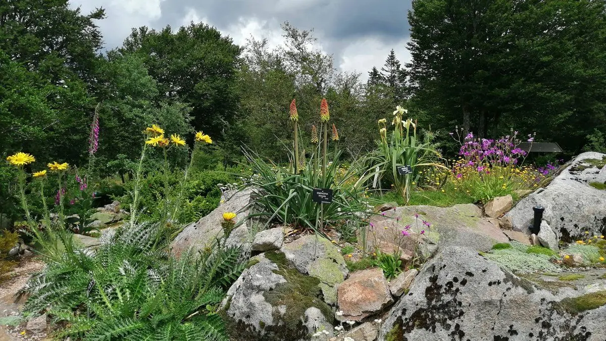Jardin d'altitude du Haut Chitelet