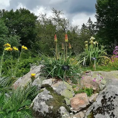 Jardin d'altitude du Haut Chitelet