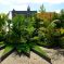 Jardin d'été, le jardin éphémère de Metz  &copy; Philippe Gisselbrecht - Ville de Metz