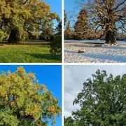 Jardin de Lessines - Rendez-vous aux jardins