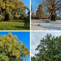Jardin de Lessines - Rendez-vous aux jardins