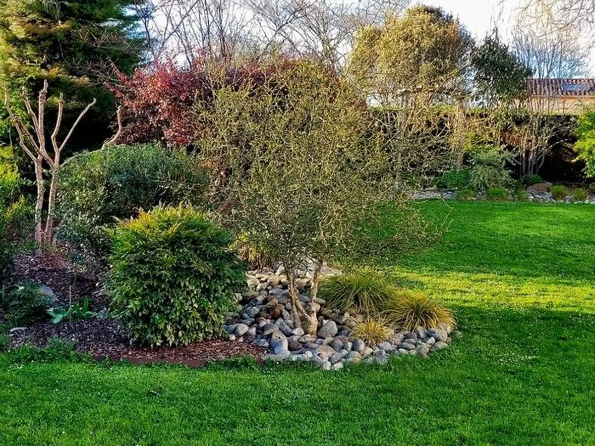 Jardin de LMG - Rendez-vous aux jardins