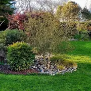 Jardin de LMG - Rendez-vous aux jardins