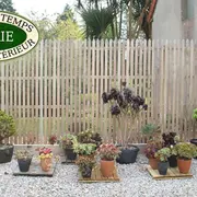 Jardin de pots