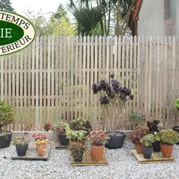 Jardin de pots