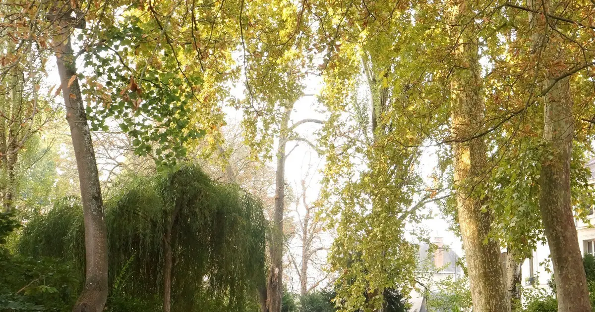 Jardin des Prébendes