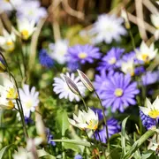Jardin en scène - concert : Les fins de siècle