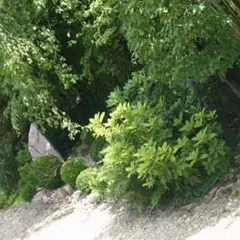 Jardin de l'Escalier