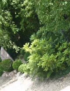 Jardin de l'Escalier