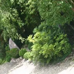 Jardin de l'Escalier