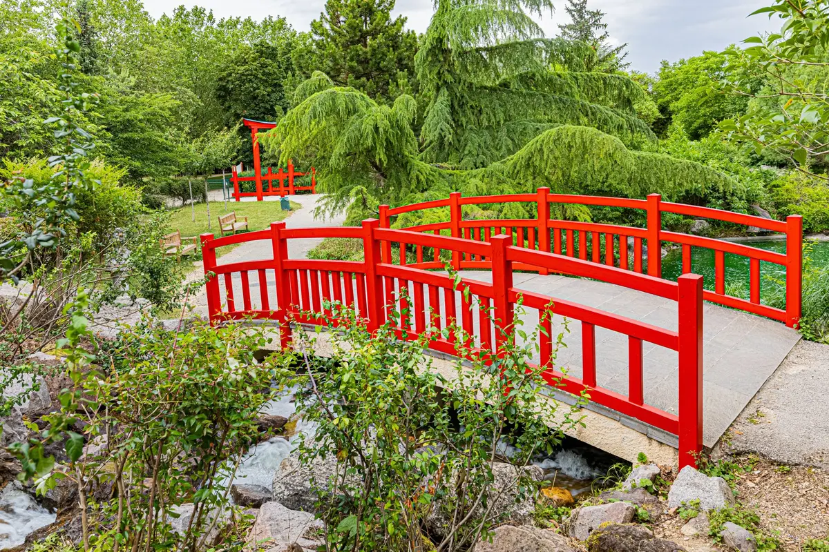 Jardin japonais