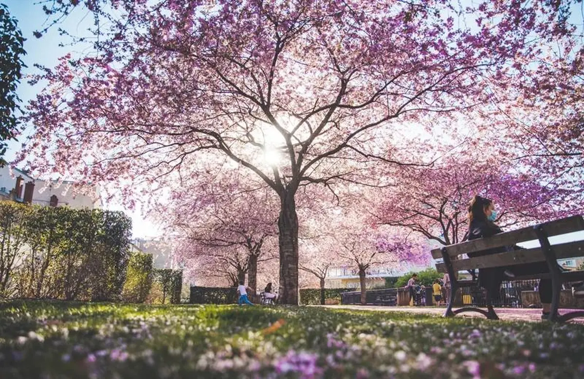 Jardin Paul-Verlaine
