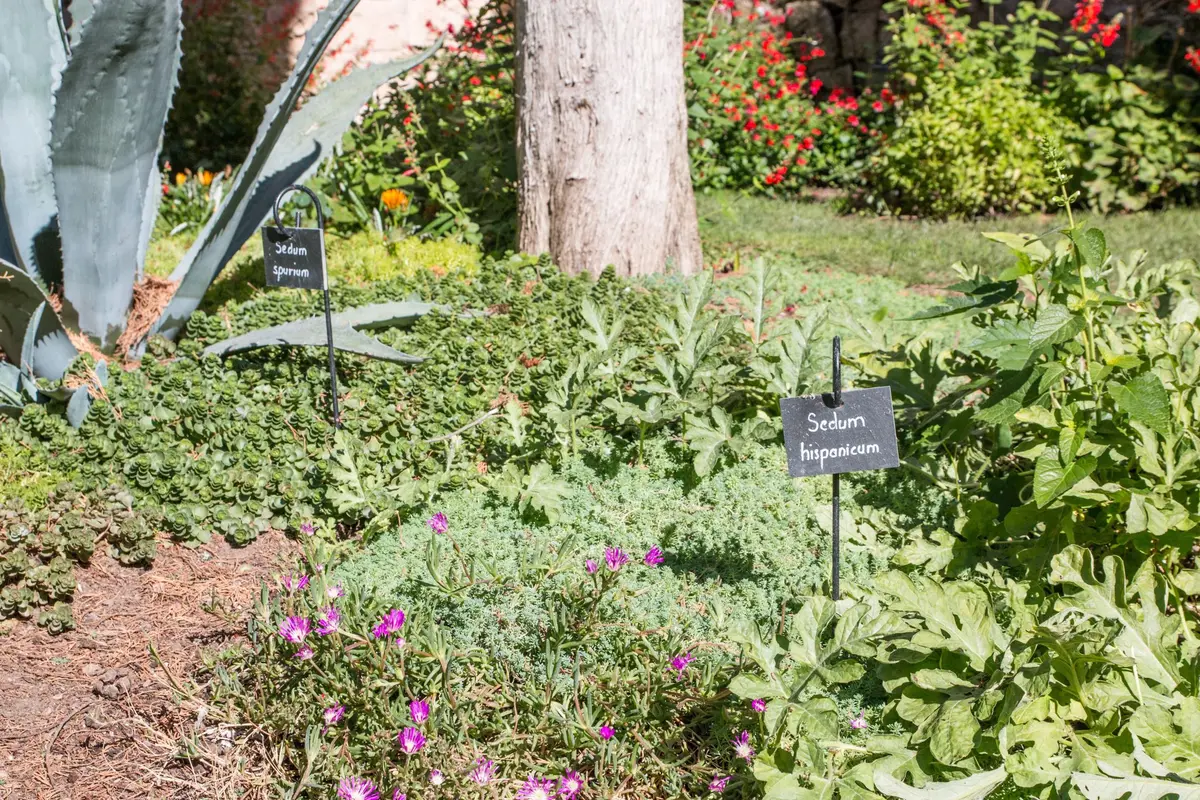 Jardin pédagogique de Koenigshoffen