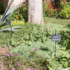 Jardin pédagogique de Koenigshoffen