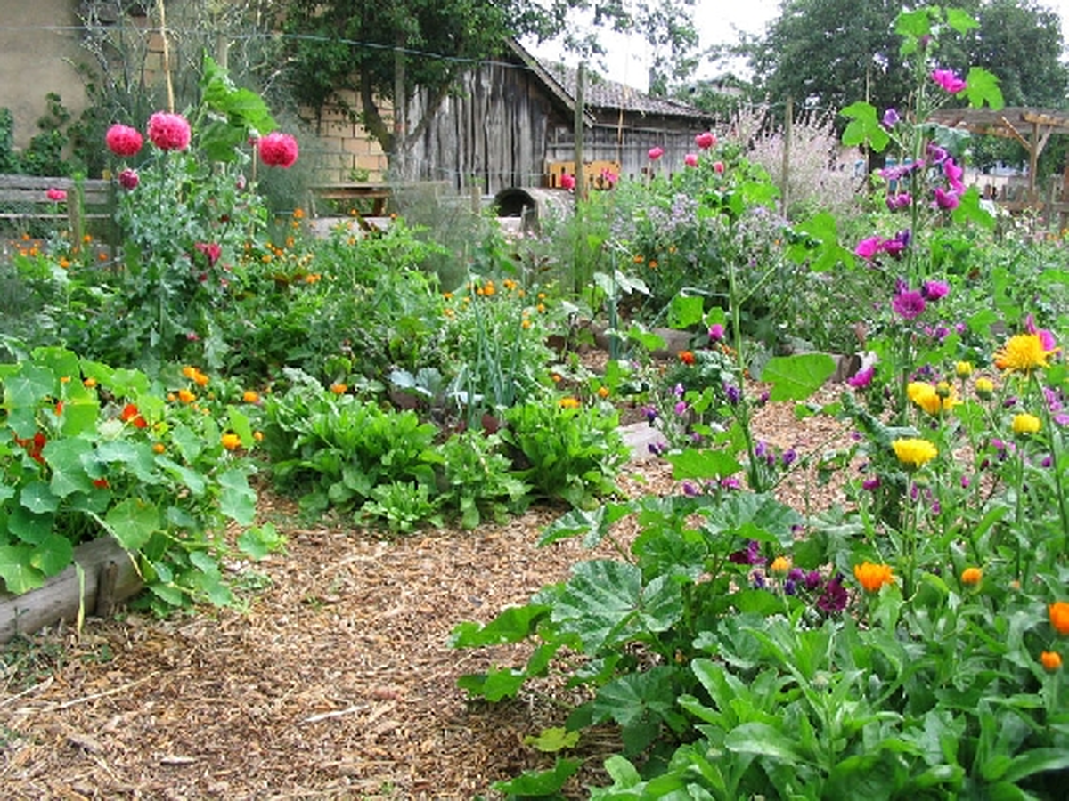 Jardinez écolo !