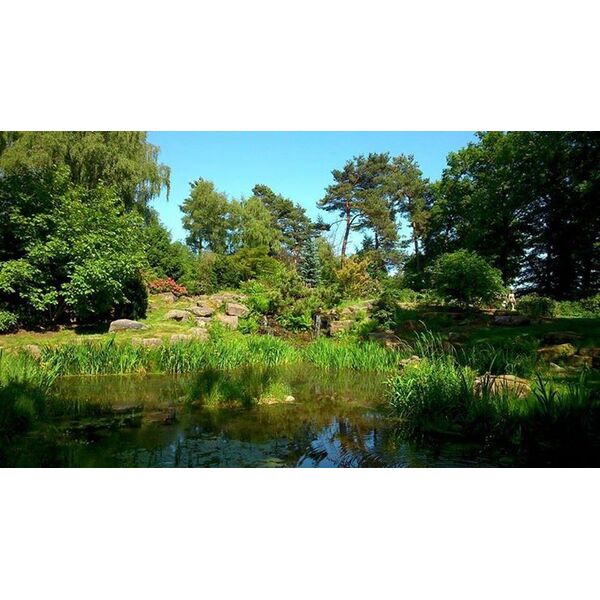 Jardins Des Callunes Ban De Sapt Parc Square Et Jardin