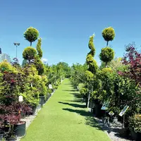 Plus de 5 000 références de végétaux à découvrir DR