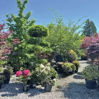 Rendez-vous chez Wanner pour embellir votre jardin DR