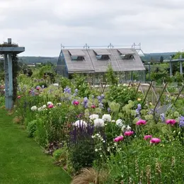 Chasse au trésor : Un été aux jardins fruitiers
