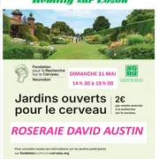 Jardins ouverts pour le cerveau