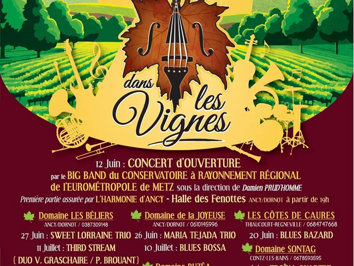 Jazz dans les vignes - Domaine Sontag
