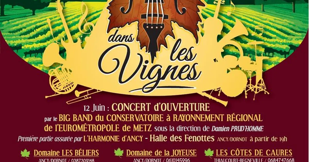 Jazz dans les vignes - Domaine Sontag