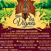 Jazz dans les vignes - Domaine Sontag