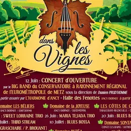 Jazz dans les vignes - Domaine Sontag