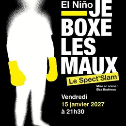 Je boxe les maux