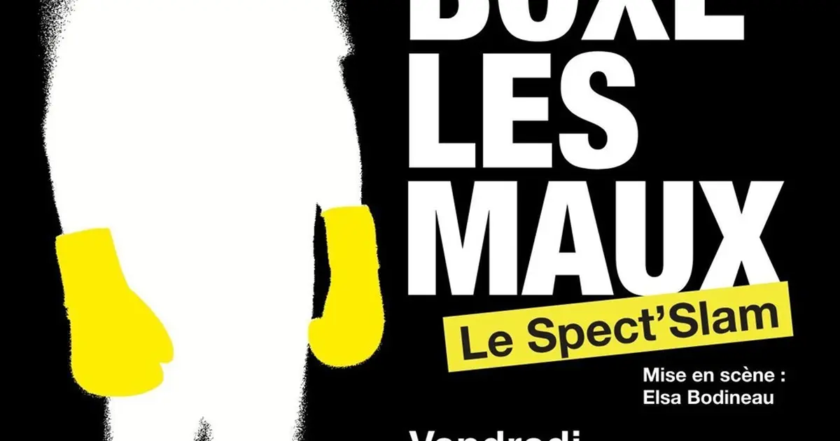 Je boxe les maux
