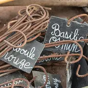 Je créé mon jardin condimentaire